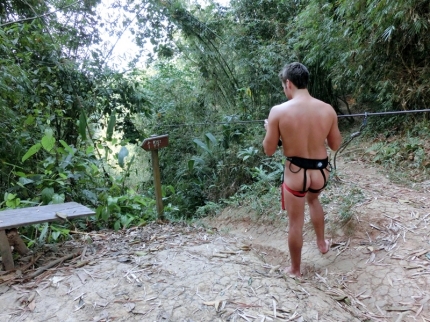 gibbon (50)